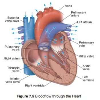 WhatsApp Image 2026-02-17 at 6.35.21 AM
