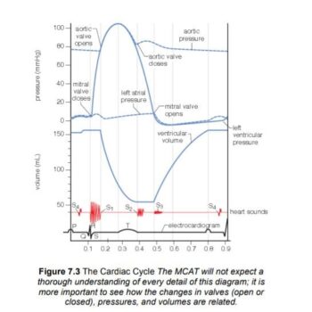 WhatsApp Image 2026-02-17 at 6.35.24 AM (1)
