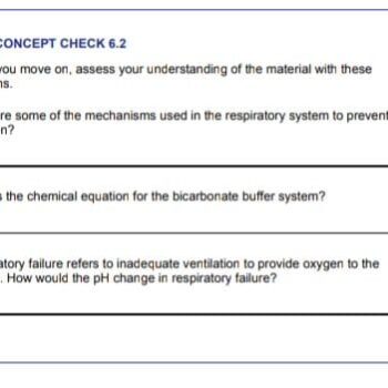 WhatsApp Image 2026-02-17 at 6.35.25 AM