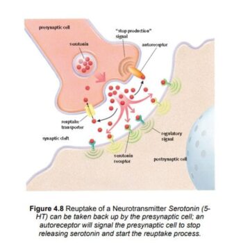 WhatsApp Image 2026-02-17 at 6.35.26 AM (1)