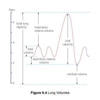 WhatsApp Image 2026-02-17 at 6.35.26 AM