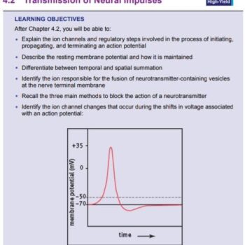 WhatsApp Image 2026-02-17 at 6.35.27 AM