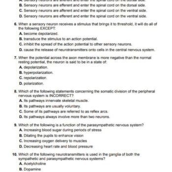 WhatsApp Image 2026-02-17 at 6.47.20 AM (1)