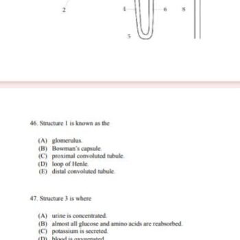WhatsApp Image 2026-02-17 at 6.50.01 AM