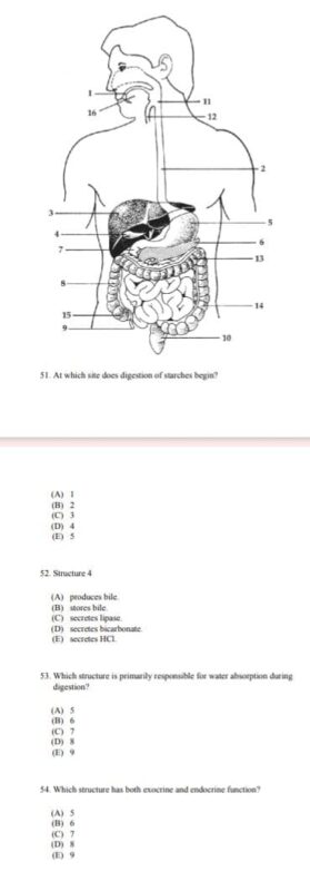 WhatsApp Image 2026-02-17 at 6.50.06 AM