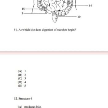 WhatsApp Image 2026-02-17 at 6.50.06 AM